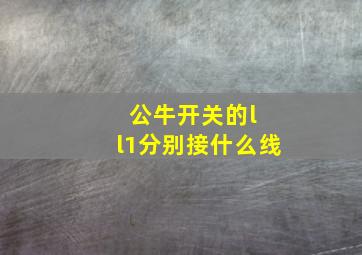 公牛开关的l l1分别接什么线